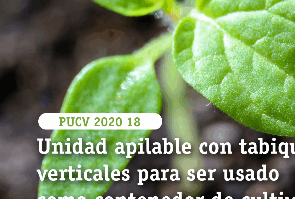 Unidad apilable con tabiques verticales para ser usado como contenedor de cultivo