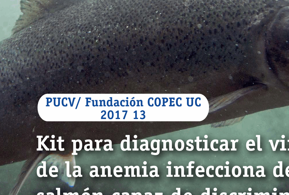 Kit para diagnosticar el virus de la anemia infecciona del salmón capaz de discriminar entre diferentes variables virales