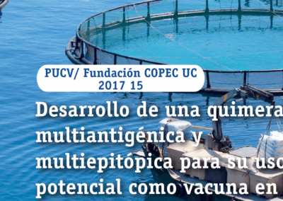 Desarrollo de una quimera multiantignica y multiepitópica para su uso potencial como vacuna en el control de Piscirickettsia salmonis