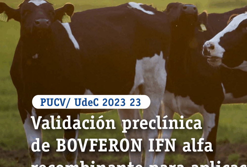 Validación preclínica de BOVFERON IFN alfa recombinante para aplicación en ganado
