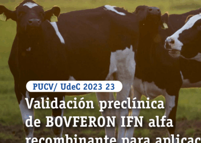 Validación preclínica de BOVFERON IFN alfa recombinante para aplicación en ganado