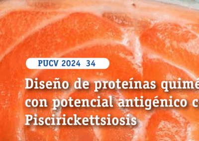 Diseño de proteínas quiméricas con potencial antigénico contra Piscirickettsiosis
