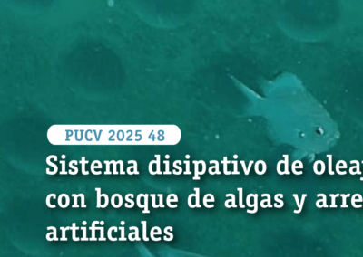 Sistema disipativo de oleaje con bosque de algas y arrecifes artificiales