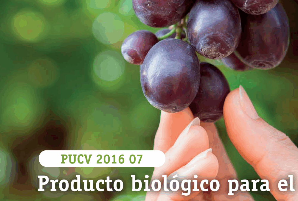Producto biológico para el control de micosis en plantas y frutos
