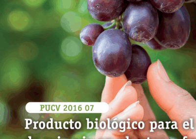 Producto biológico para el control de micosis en plantas y frutos